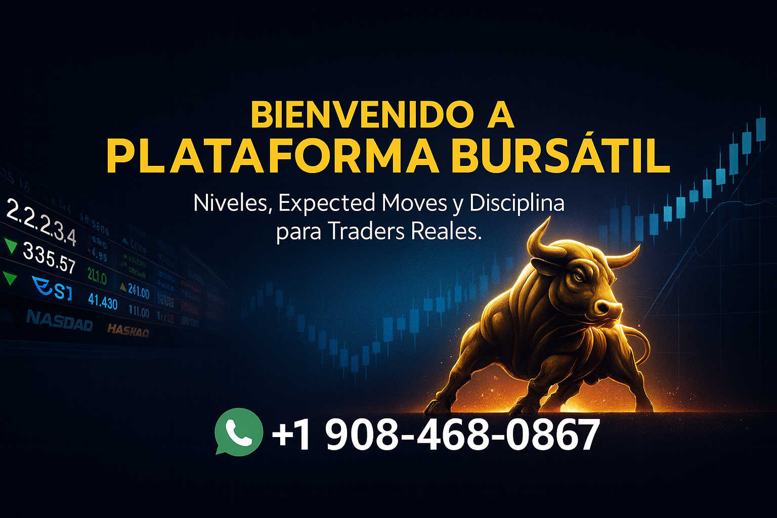 Plataforma Bursátil